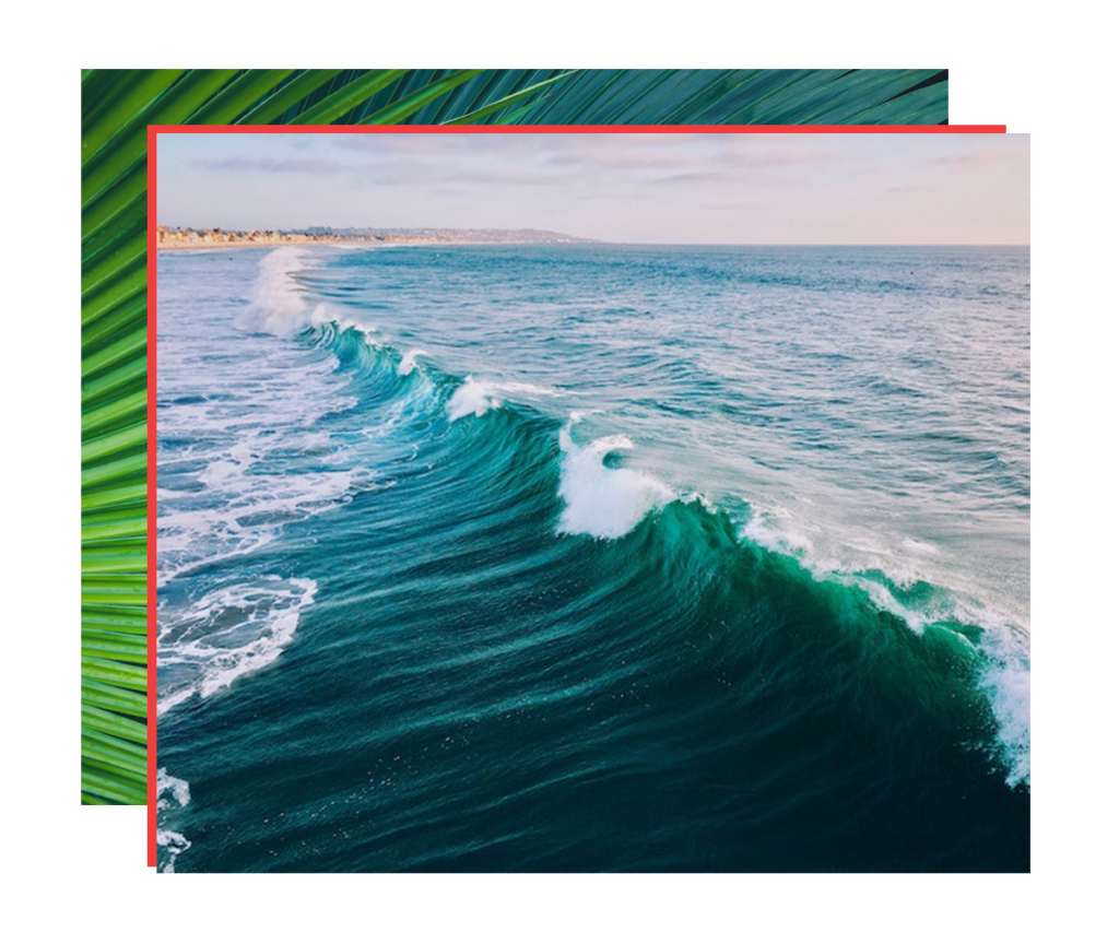tropical ocean collage