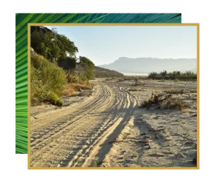 tire tracks on sandy beach in Baja