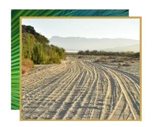 tire tracks on sandy beach in Baja